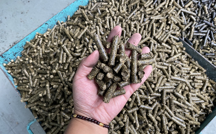 通過高溫處理，一捆稻草就能變成統一規格的燃料顆粒