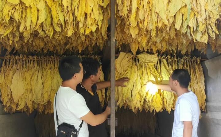 福泉：生物質顆粒智能化烘烤 助力烤煙產業提質增效